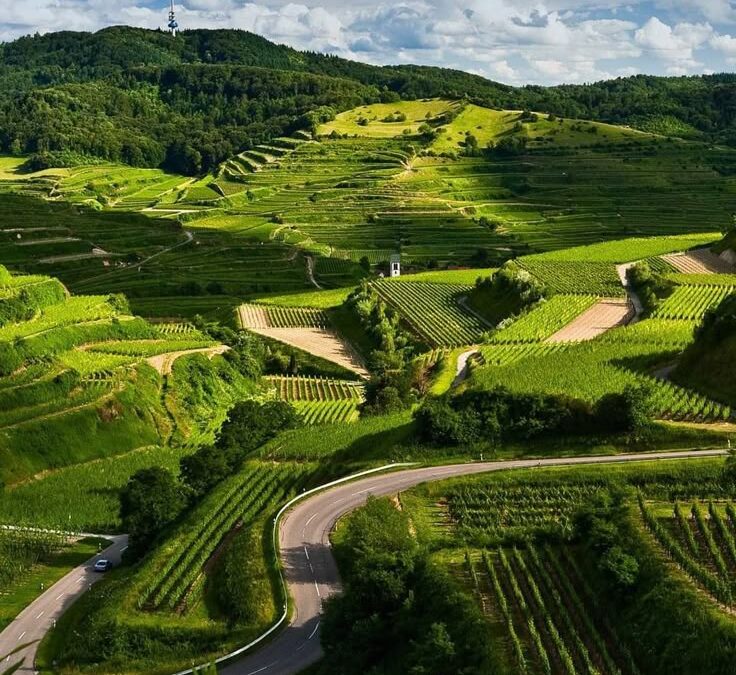 Karnataka – Nature & Heritage Blend