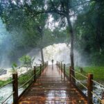 Karnataka – Nature & Heritage Blend