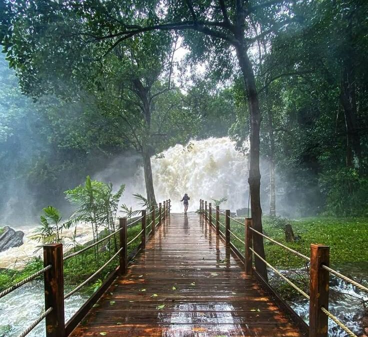 Karnataka – Nature & Heritage Blend