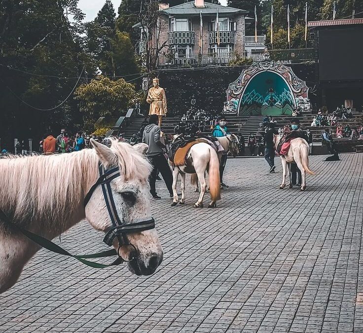 _HEART OF DARJEELING_ CHOWRASTA