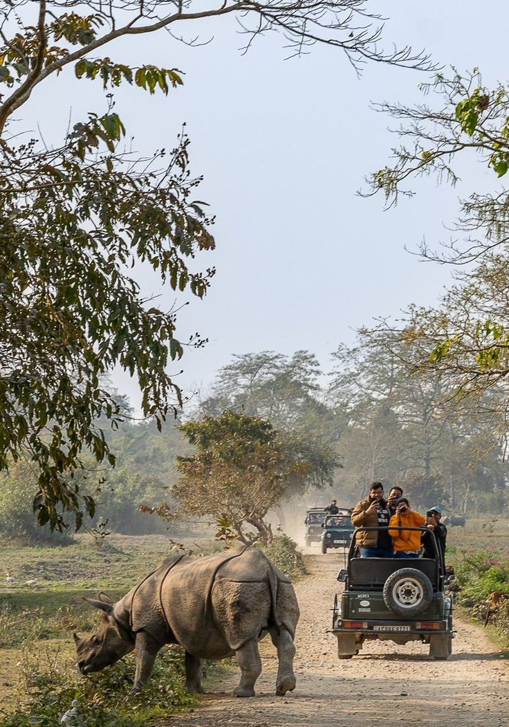 Places to Visit in East India